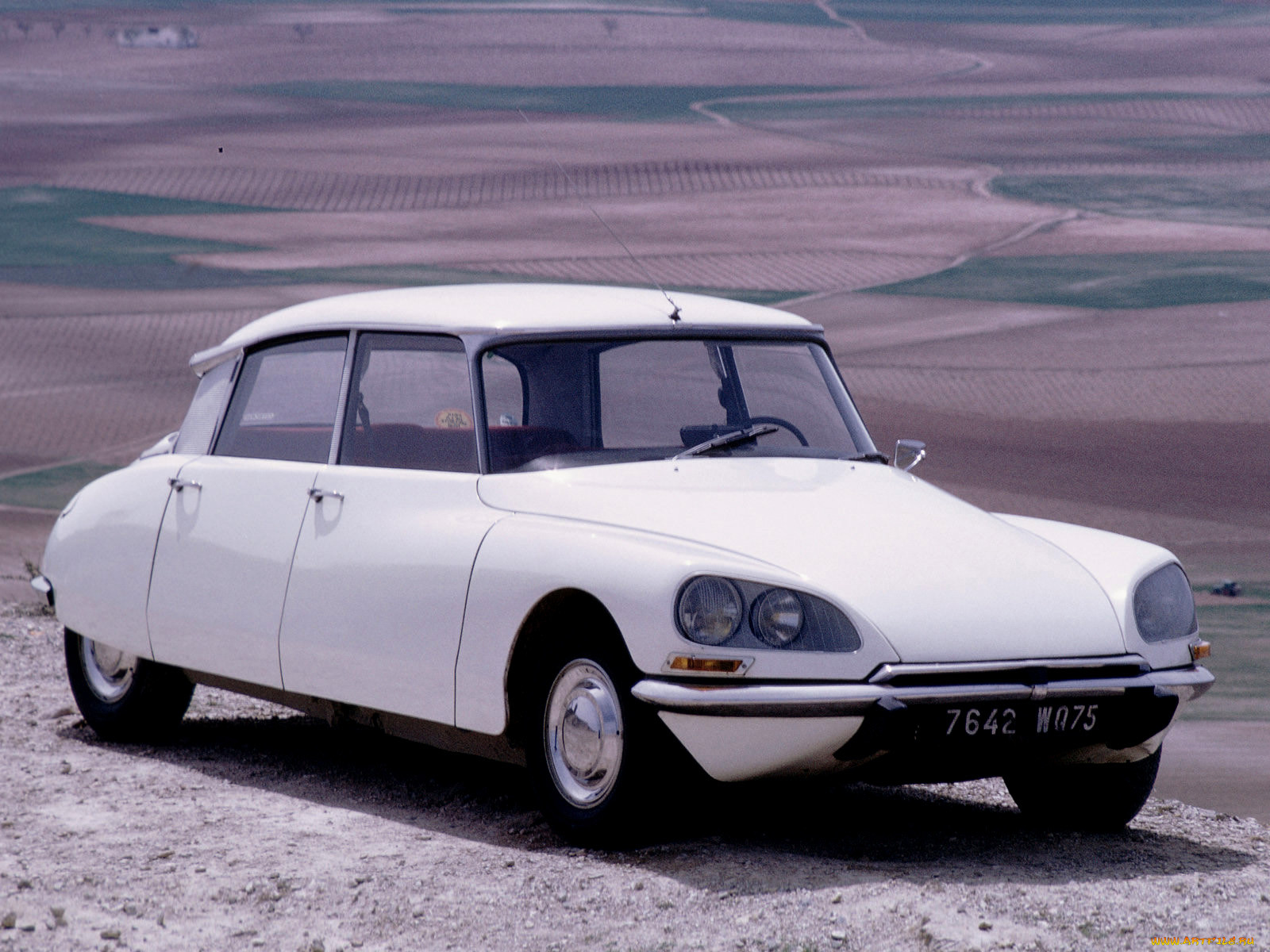 , citroen